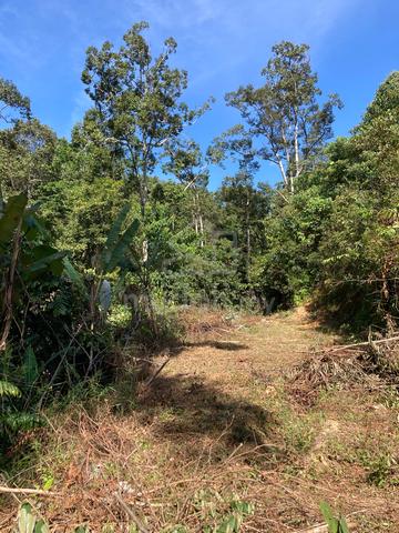 Tanah 2.5 Ekar Sri Menanti Kuala Pilah Istana Golf Club Kebun Durian 1
