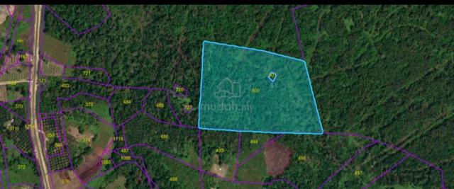 Agricultural Land for Rent 1