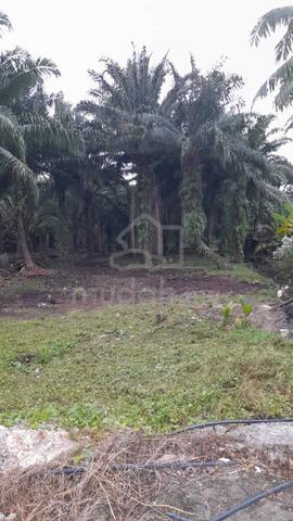 Tanah Industri Untuk DI JUAL 3