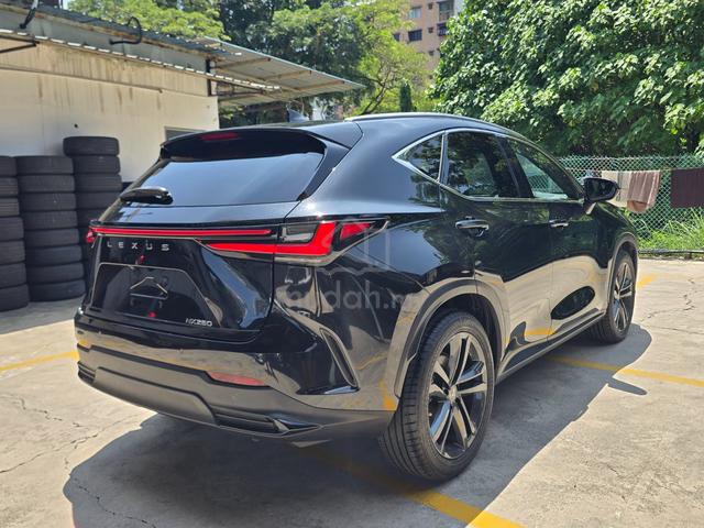 2022 Lexus NX250 2.5 Version L Luxury 4.5B/12k km - 3
