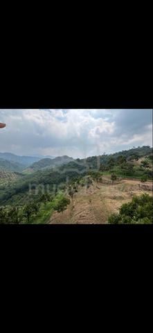raub bilut hill 1
