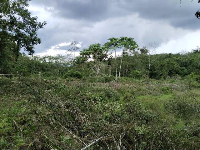 Tanah Di Mukim Bongor, Baling, Kedah 1