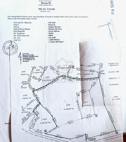 Tanah Padi 4 Ekar di Bachok 1