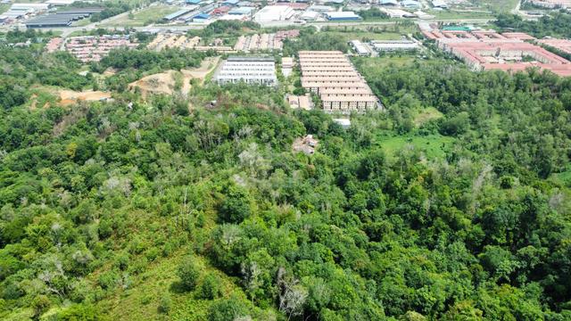 Hill Land - Agriculture Land @ Tuaran - Telipok 1