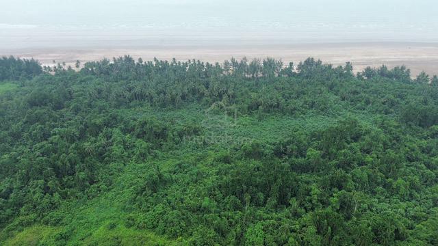 Trombol Land @ Golden Beach, Trombol FOR SALE 1