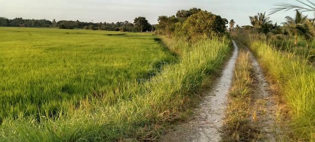 Tanah di Pdg Halban jual murah 1