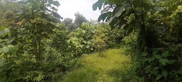 berbukit Dan landai 1
