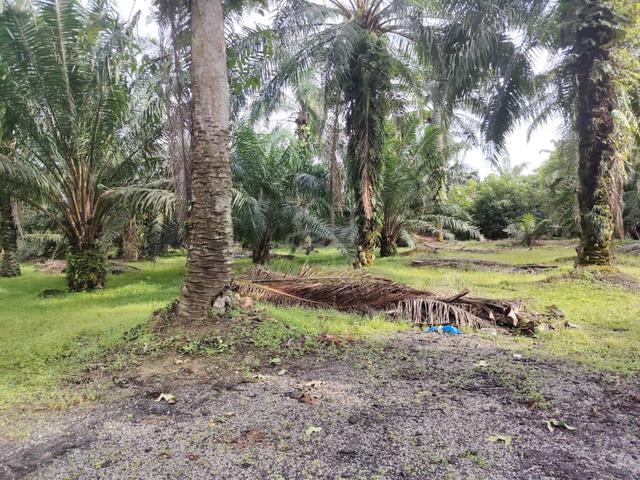 Telok Panglima Garang Land 📌14 Acres 📌Freehold 4