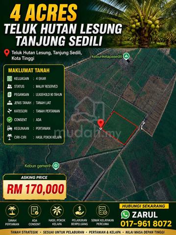 TANAH 4 EKAR = 169K | Hasil Kelapa | Jualan Segera ‼️ 1
