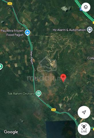 Tanah bukit 3.6 ekar Kg Tanah Merah Pagoh 4