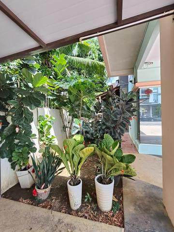 2 Storey Bungalow 1