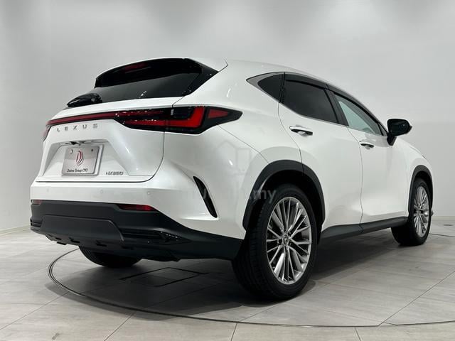 2025 Lexus NX250 2.5 LUXURY VERSION L IN BLACK - 4
