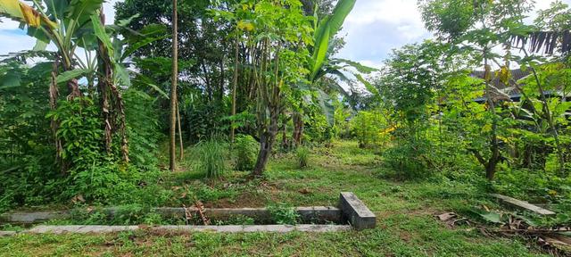 Lot tapak rumah slim river 4