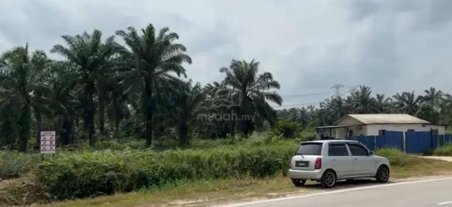 Johor Pekan Nanas Agricultural Land For Rent (Zon for Industry) 1