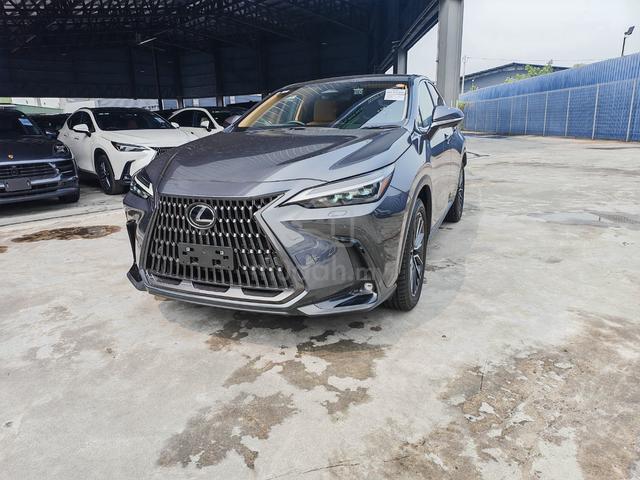 2025 Lexus NX250 2.5L VERSION L, Brown LS - 1