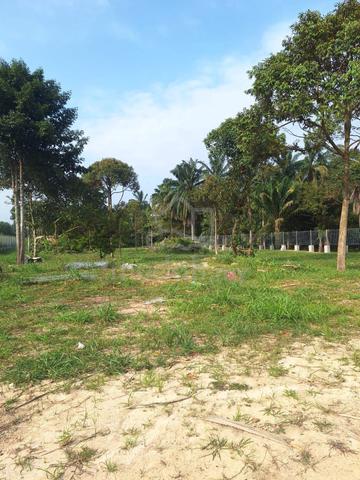 1.5 Acre Flat Commercial/Agricultural Land for Rent with boundary wall 1