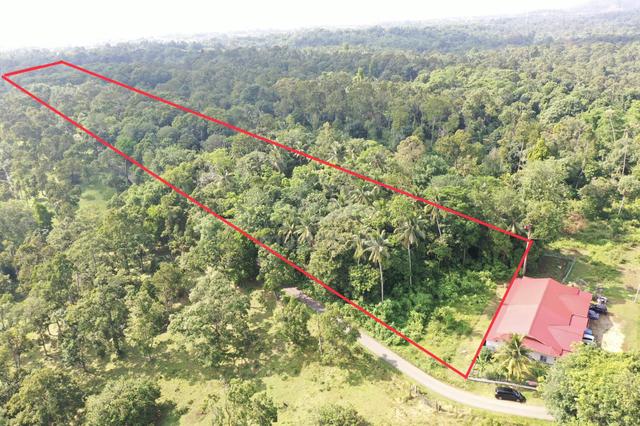 (Kebun Buah Beserah) Tanah pertanian 4.5 ekar untuk dijual 1