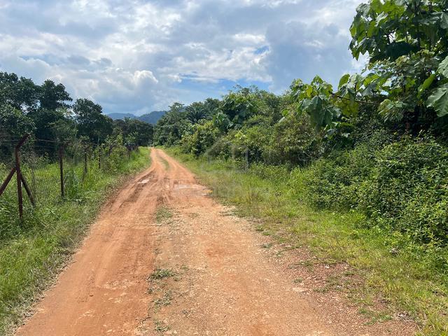 Below Market Value Multi purpose Agri Land (1 Acre) for Sale 4