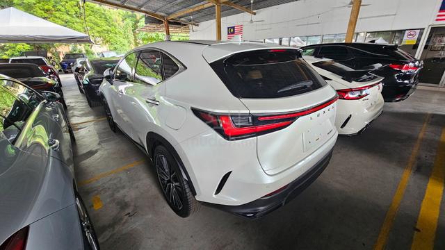 2023 Lexus NX250 2.5 Version L 4.5 GRADE 28k km - 3