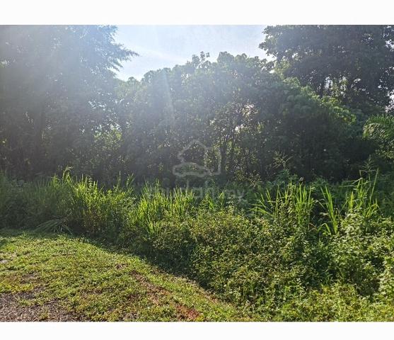 GOOD BUY😊NON BUMI 4,000sf 😊 BGLOW land TMN SUNGAI MAS ,SIMPANG tpg 1