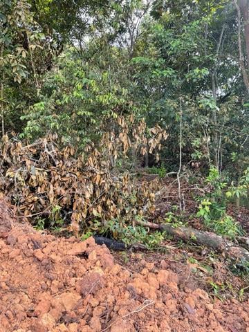 Tanah 9704 kaki persegi untuk dijual 1
