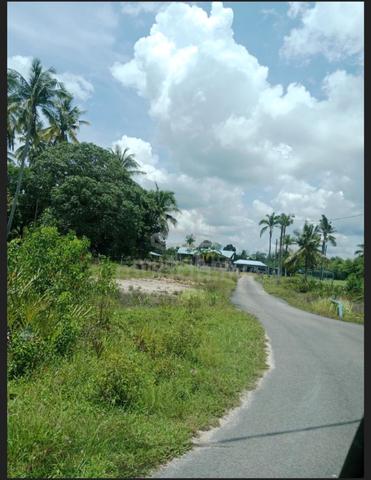 Agricultural Land for sale at Sg Miang Pekan Pahang 1