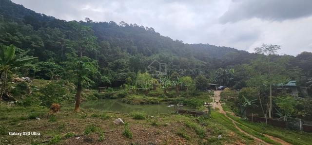 4.36 acres mix fruit farm come with bungalow house at Jelapang, Ipoh 4
