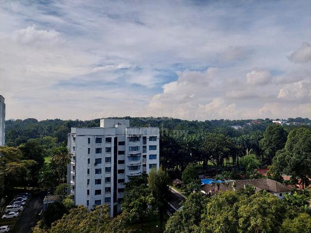 Amaya Saujana 1