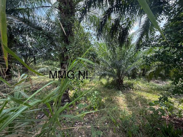 2 acres Agricultural land telok panglima garang industrial zoning 1