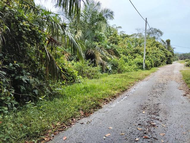Tanah Sawit 10 ekar Pondoi 2