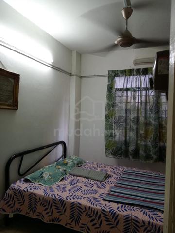 Subang Ville Aman Luxury 1