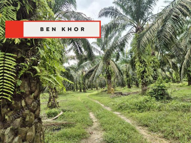 5.043 Acres | Agricultural Land |Sungai Bakap |Sungai Jawi | PENANG 1