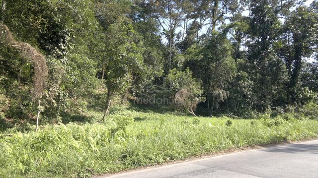 anah Dusun Tepi Jalan Utama Sg Lui- Lokasi Strategik 1