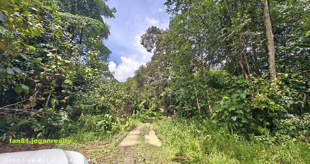 Ulu Kimanis Papar Kg Masalak (Small Hill) Rubber Land . CL19acs ((( F 1