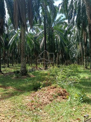 PRIME LOCATION Mixed Development Land SP Utara Bandar Amanjaya 1