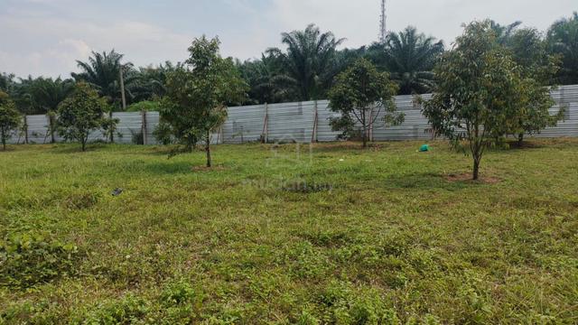 karangan land beside Main Road Residential Kedah 1