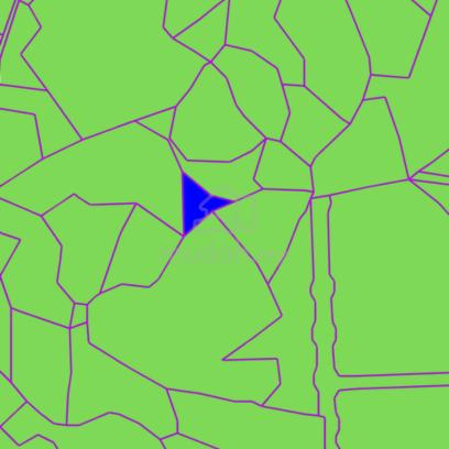 Native Land 0.74ac for Sale Seduan Land District, Sibu 2