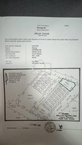 LOT TERES FOR SALE di Batu 3 Simpang Songsang Temerloh Pahang  1