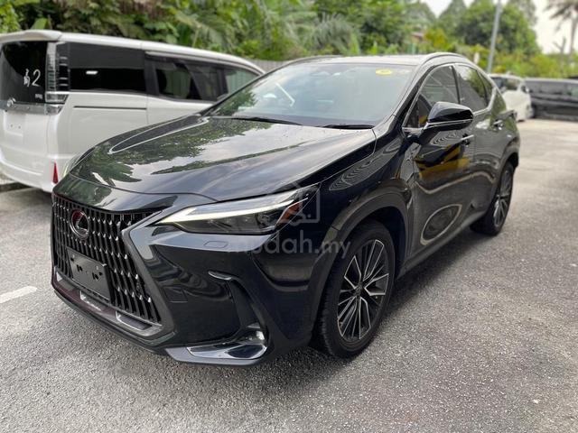 2023 Lexus NX250 2.5 LUXURY (A) - 1