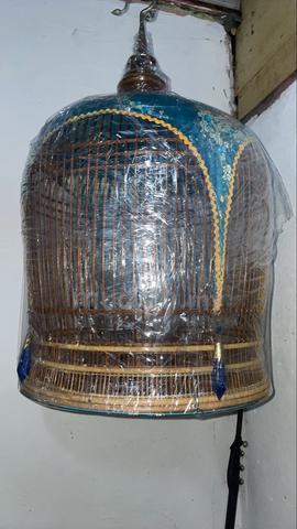 Carousel Image