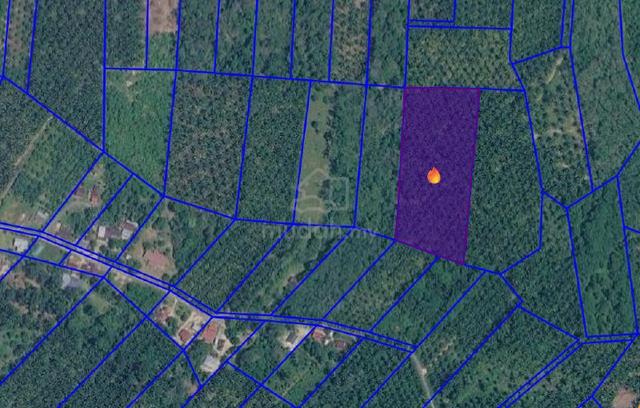 Tanah Pertanian Untuk Dijual Di Selama Perak 1