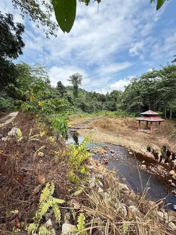Tanah 8 Ekar DIRECT OWNER 1 NAMA - SRI JAYA, PAHANG 1