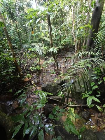 Tanah Untuk Di Jual Ada Sungai Batu 3 Ekar Kampung Sungai BIL 1