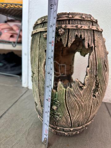 Carousel Image