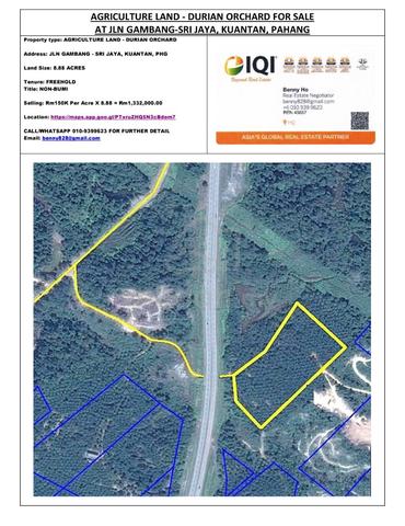 Agriculture Land - (Durian) For Sale @ Jln Gambang-Srijaya Kuantan Phg 1
