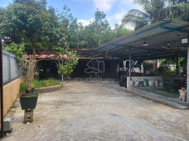 Fruit Orchard For Sale 1