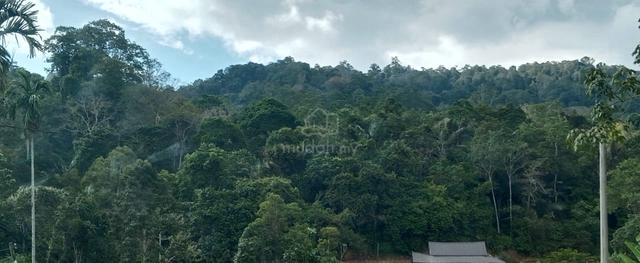 Tanah cantik 3.16 ekar sesuai buat dusun 1