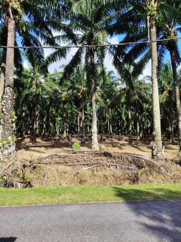 Mukim Gurun Taman Permai Utara 1