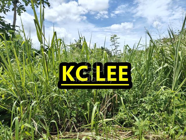 Main Road 0.718 Acres First Grade Land For Sale,Kubang Semang,Penang 1