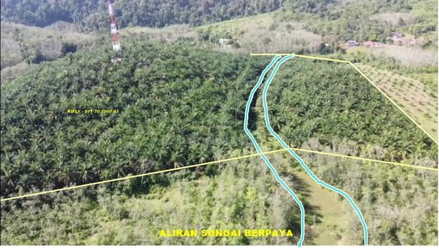 Tanah Kelapa sawit - Kg Berona - Jeniang 5